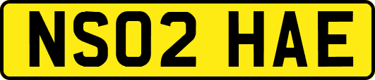 NS02HAE