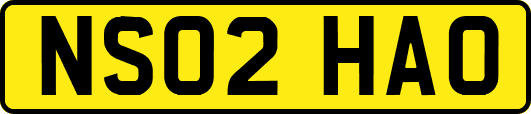 NS02HAO