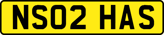 NS02HAS
