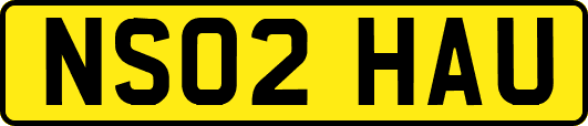 NS02HAU