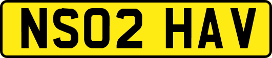 NS02HAV