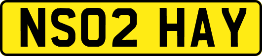 NS02HAY