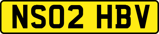 NS02HBV