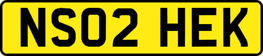 NS02HEK