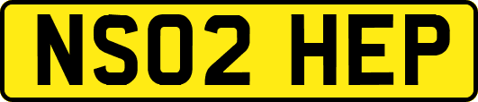 NS02HEP