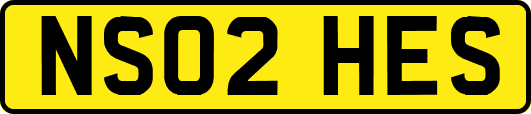 NS02HES