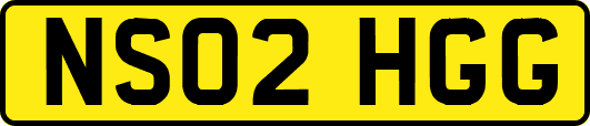 NS02HGG