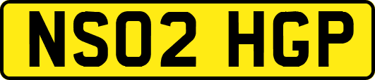 NS02HGP