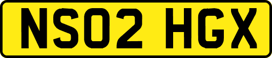 NS02HGX