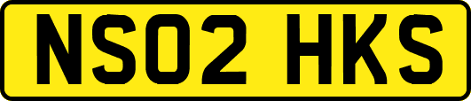 NS02HKS