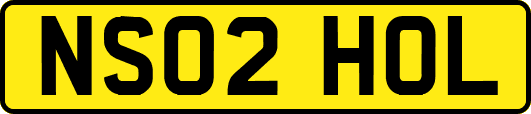 NS02HOL