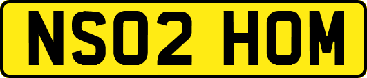 NS02HOM