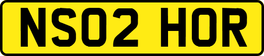 NS02HOR