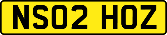 NS02HOZ