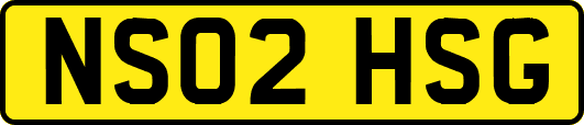 NS02HSG