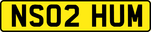 NS02HUM