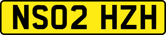 NS02HZH