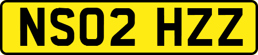 NS02HZZ