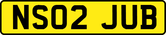 NS02JUB