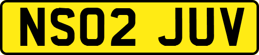 NS02JUV