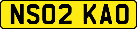 NS02KAO