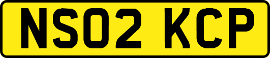 NS02KCP
