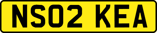 NS02KEA