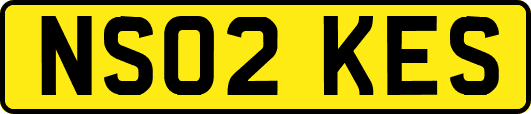 NS02KES