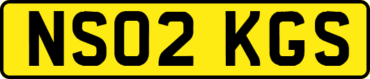NS02KGS