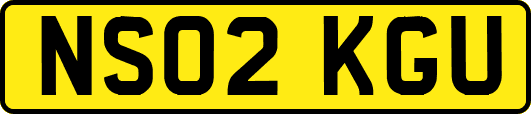 NS02KGU