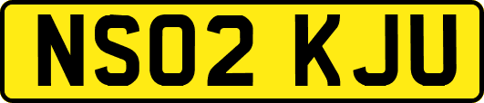 NS02KJU
