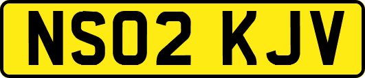 NS02KJV