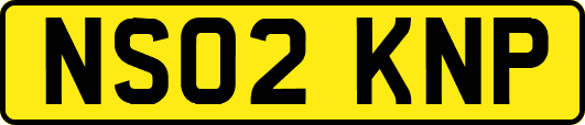 NS02KNP