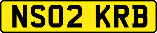 NS02KRB