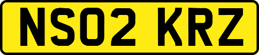 NS02KRZ