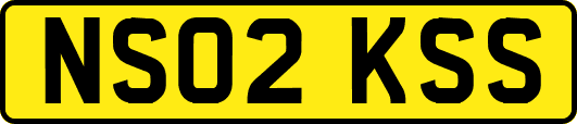 NS02KSS