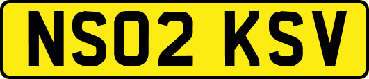NS02KSV