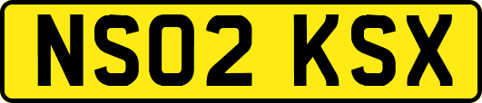 NS02KSX