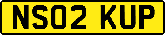 NS02KUP