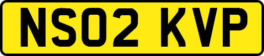 NS02KVP