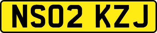 NS02KZJ