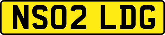 NS02LDG
