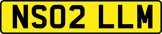 NS02LLM