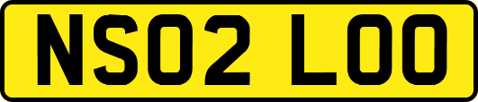 NS02LOO