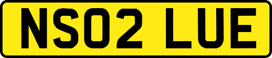 NS02LUE