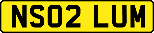 NS02LUM