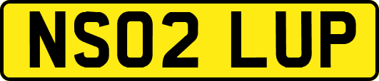 NS02LUP