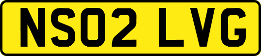 NS02LVG