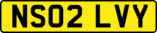 NS02LVY