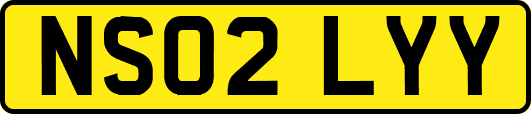 NS02LYY